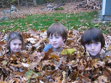 photo of SAC in Autumn Leaves