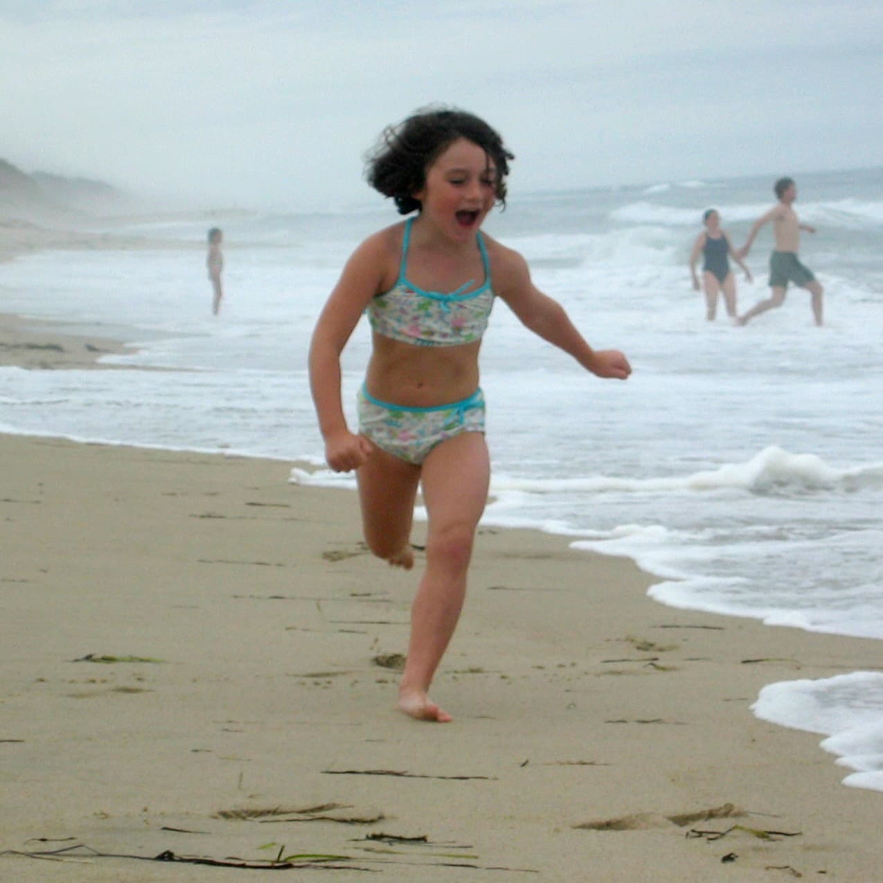 photo of Cat running on the beach